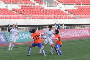 铿锵玫瑰吃瓜,揭秘娱乐圈幕后故事