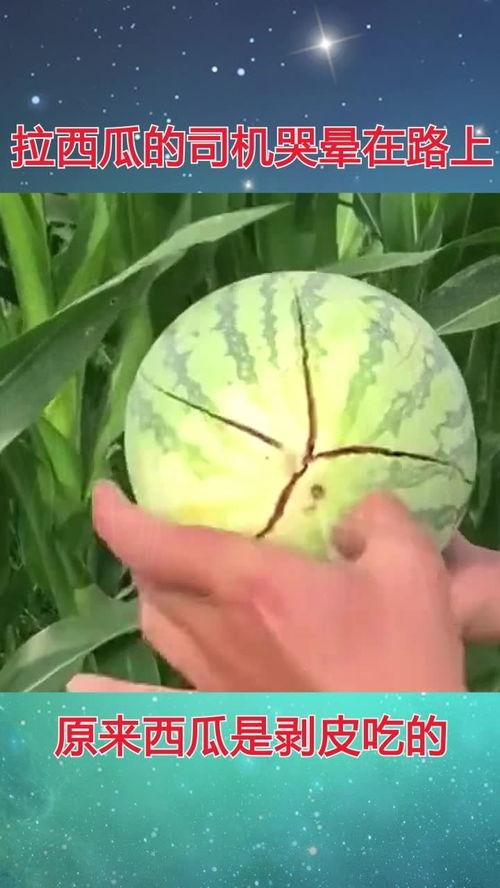 在路上怎么吃瓜,旅途中的美味瓜果时光