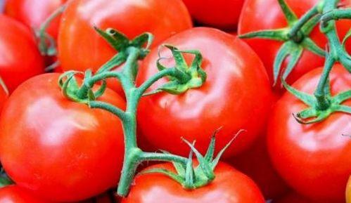 番茄吃瓜网址,揭秘网络红人背后的故事