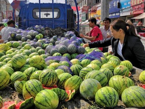 台湾吃瓜搬运视频,揭秘岛内热门话题背后的真相