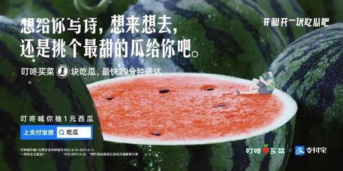 起早吃瓜文案,揭秘起早吃瓜的奇妙体验