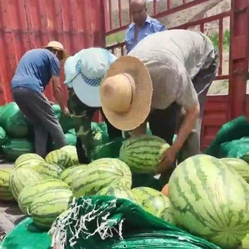 阎良吃瓜群众,揭秘民间热点背后的故事