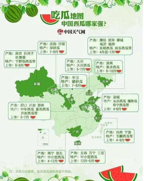 中国的吃瓜大国,全球“吃瓜”文化的引领者与传播者