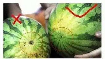 福州疫情 吃瓜,吃瓜群众视角下的实时动态