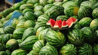 晚上吃梨瓜,清甜润肺，养生又解暑