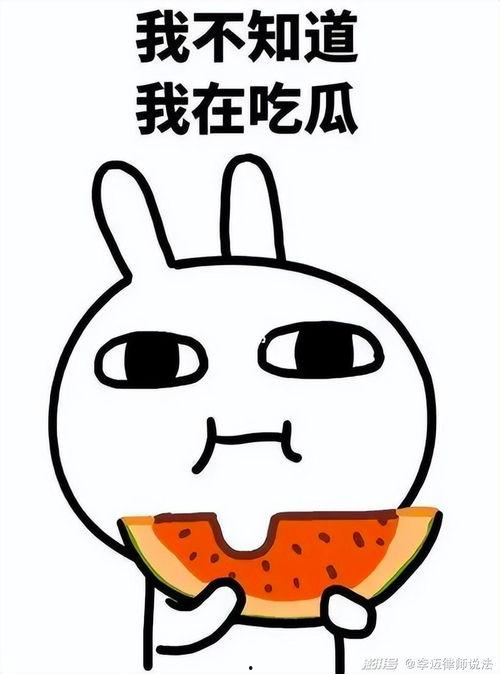 《吃瓜点评》后续,揭秘娱乐圈幕后真相，带你走进明星们的真实生活