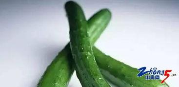 吃瓜的位置,揭秘吃瓜达人如何玩转瓜圈