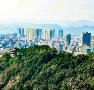 吃瓜台州杜桥,揭秘吃瓜群众的美食天堂