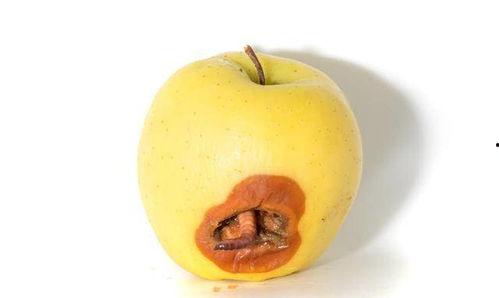 吃催熟瓜的危害,健康风险不容忽视