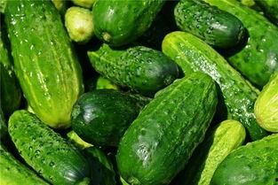 知梦吃瓜,揭秘娱乐圈背后的那些事儿