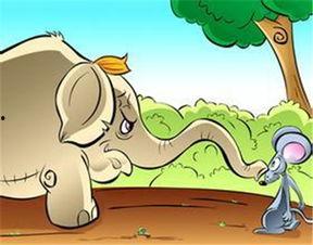 怎么保护瓜不让老鼠吃,守护丰收的秘密武器