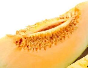 吃蜜瓜犯恶心,揭秘吃蜜瓜犯恶心之谜