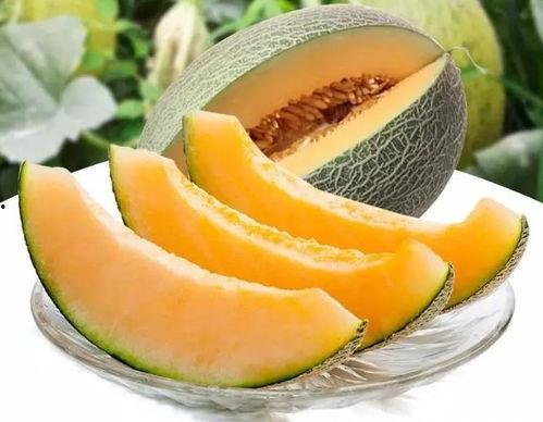 当我有个吃瓜系统,带你领略网络舆论的趣味与真相