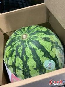 高级的吃瓜人,揭秘高级吃瓜者的智慧人生