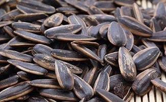 吃瓜子能吃瓜吗,瓜也能吃？揭秘瓜子与瓜的奇妙关系