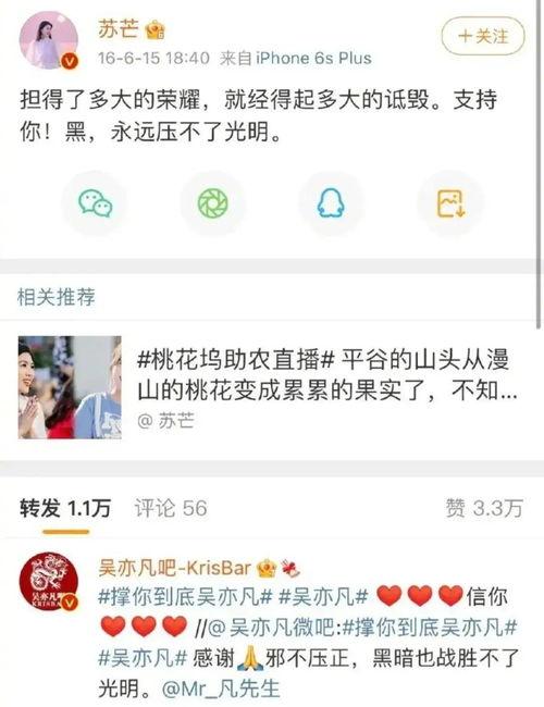 吃瓜道歉文,网络舆论的边界与责任