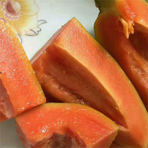 宝宝可以吃乳瓜,宝宝辅食新选择，营养美味两不误