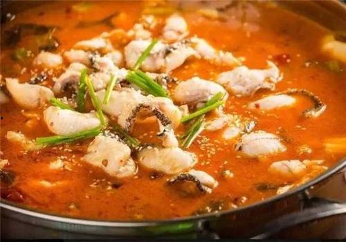 酸菜鱼直播吃瓜,酸菜鱼吃瓜，揭秘网红美食背后的故事