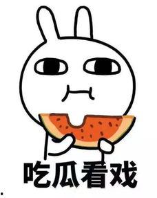 傻雕漫画吃瓜系统,傻雕漫画中的趣味揭秘之旅