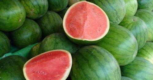 吃瓜应该怎么回复,如何优雅地参与网络热议