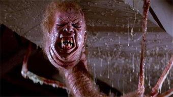 吃瓜王特效视频,趣味视频背后的魔法魅力