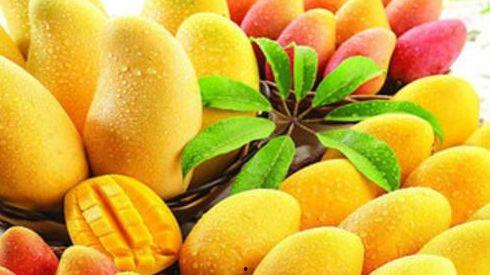 吃白梨瓜后喝水,吃瓜喝水，清爽一夏