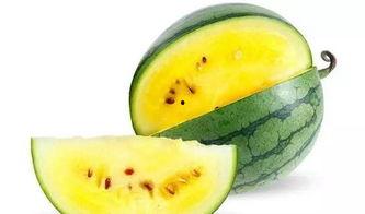 报恩西瓜带你吃瓜,一场甜蜜的感恩之旅，带你领略瓜界传奇