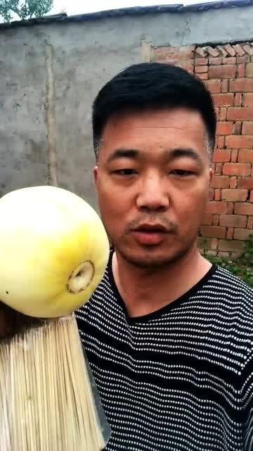 苦甜甜吃瓜,揭秘苦甜甜吃瓜的独特魅力