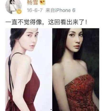杨雪吃瓜,揭秘娱乐圈幕后故事