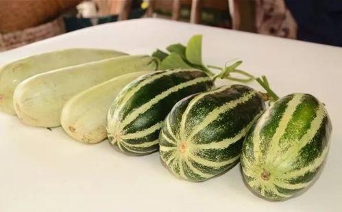 吃免费瓜,共享甜蜜，品味生活