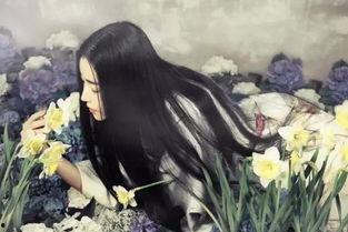 焚前吃瓜小说,揭秘古代宫廷秘闻的奇幻之旅