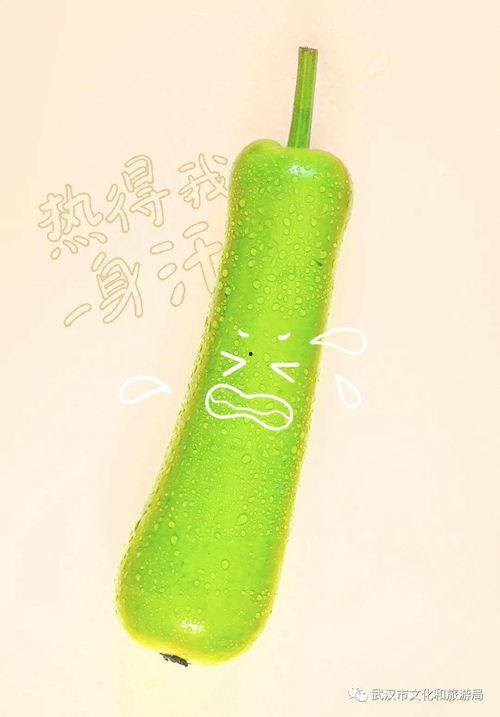 武汉体育吃瓜,吃瓜群众的热议焦点