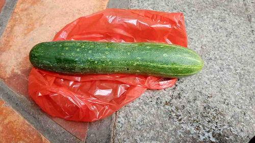 瓜可以吃么,揭秘哪些瓜可以安全食用