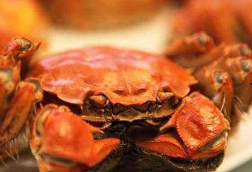 螃蟹吃蜜瓜,一场跨界美食的奇妙邂逅