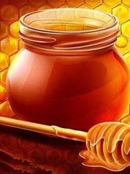 减肥可以吃蜜罐瓜,甜蜜解馋又健康的选择