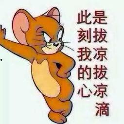 吃瓜群众调侃全集,笑料百出，欢乐无限