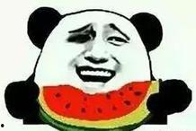 吃瓜斗鱼,揭秘网络红人的幕后故事