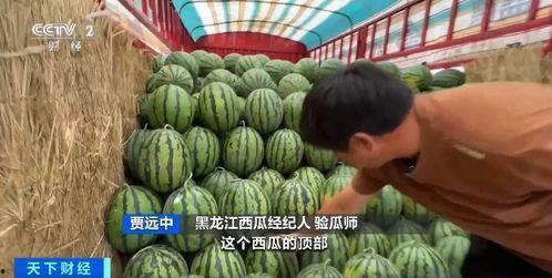 刘铮吃瓜,揭秘娱乐圈背后的那些事儿