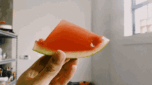钢勺吃瓜,揭秘夏日消暑新潮流