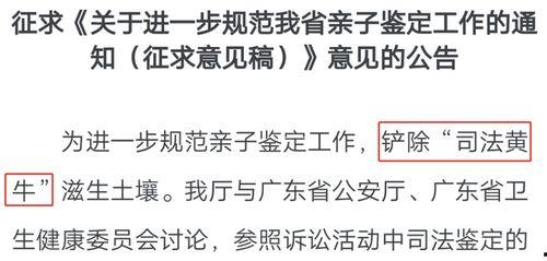 亲子鉴定吃大瓜,揭秘娱乐圈大瓜背后的真相